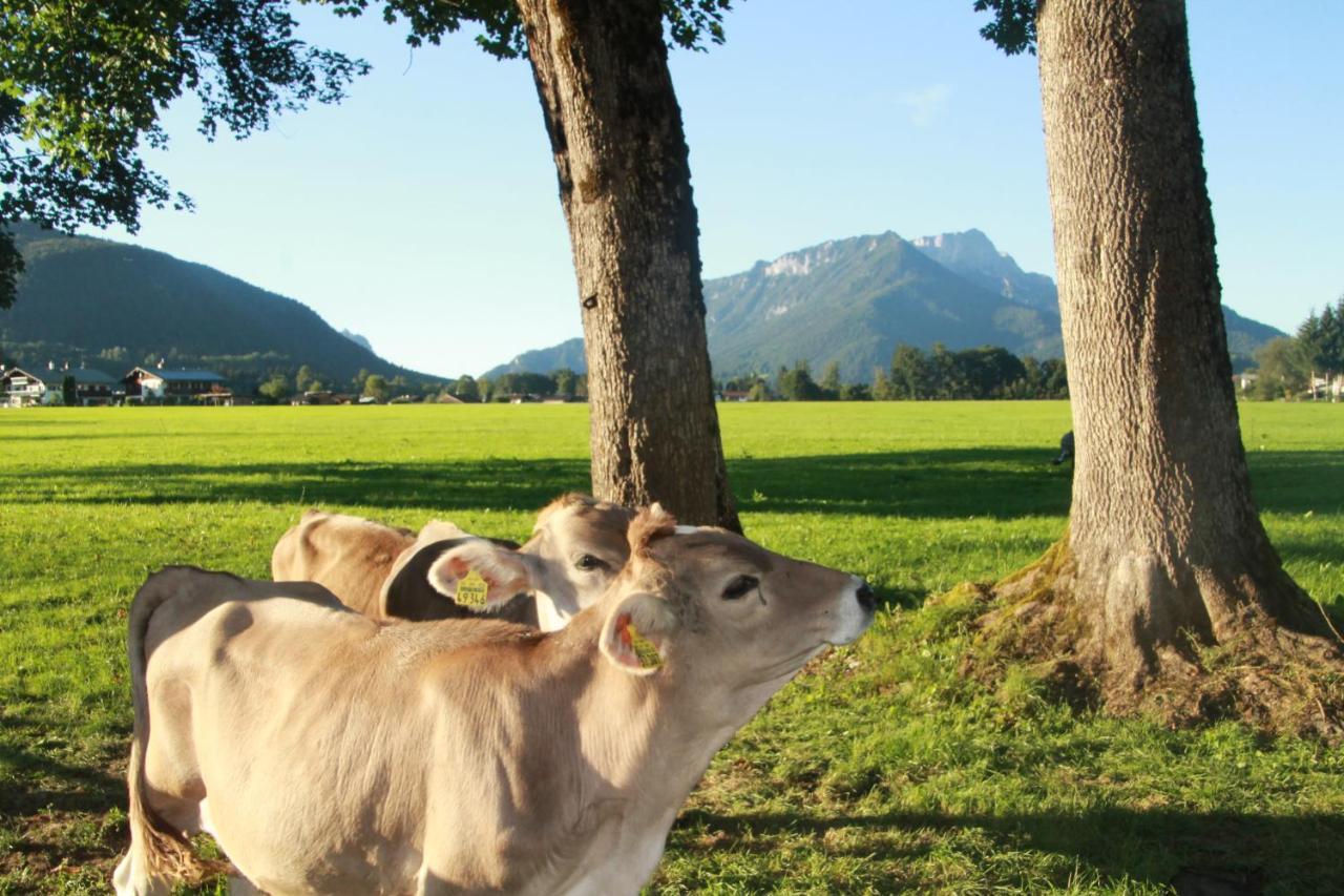 Vintage Kammerl Schönau am Königssee Eksteriør billede